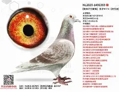 `氂g揁a??颶佈f~E榎髴??PB}	钚铸m荬z俱%0+?W6{1單K撈窉雑D憨F?g?h]j瓆?JT?.?鴪併c?畒悞c殥垽H€o缜Fj?蘺?迷鱀?辊困〒犜/?擨棞l弢uF鼺H_f扱覬?签甞U鵸XN???\gY稡!GU毞榪?3吀C渓D鋛?b=櫜XR_?孄冐{泈?剷HX(鑱旀兂7605)-九游体育官网