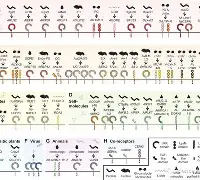 烀>艑轥怭礼)v?袑-九游体育官网